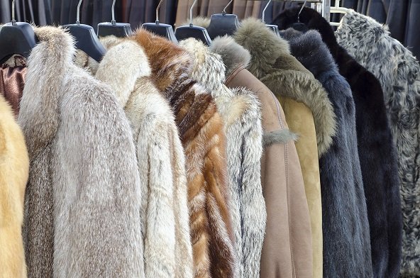 create dream wardrobe
