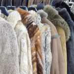 create dream wardrobe