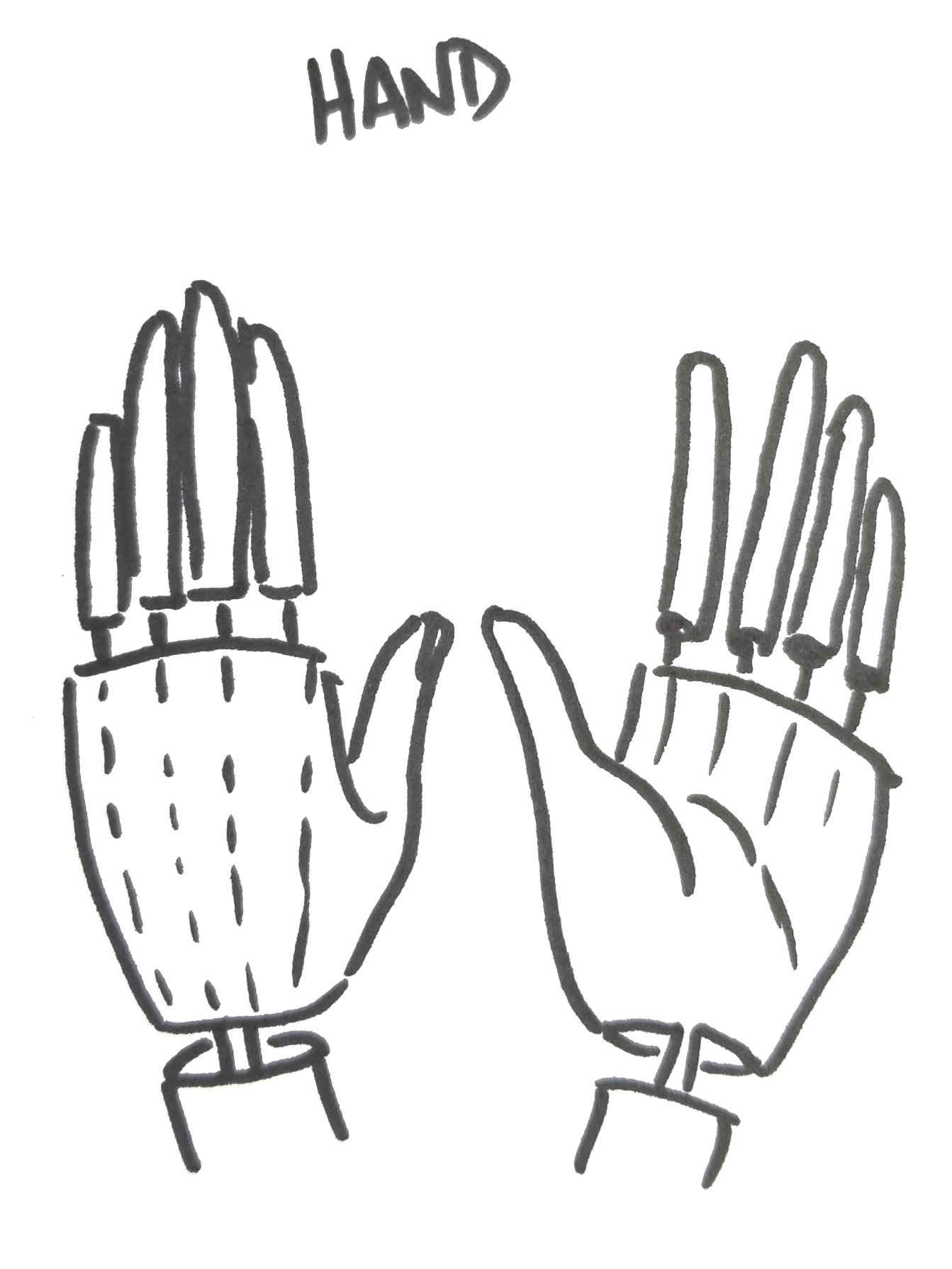 drawing hands in fashion illustration